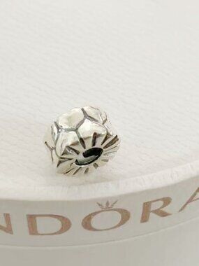 Pandora Heart Pattern Clip Charm